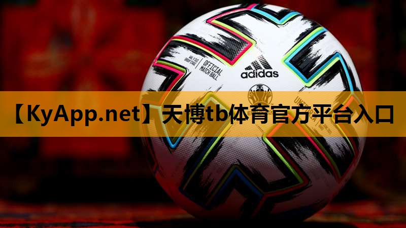 ⚽️天博tb·体育综合官方网站：提升户外运动体验的利器 – 室外体育健身器材配件大揭秘