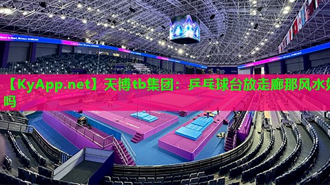 天博tb集团:乒乓球台放走廊那风水好吗
