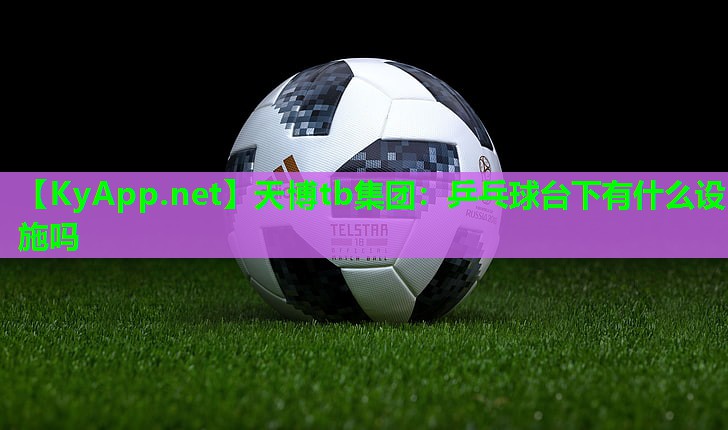 天博tb集团:乒乓球台下有什么设施吗