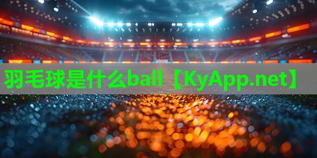 羽毛球是什么ball